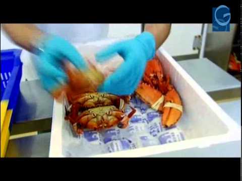 Marisco gallego a a domicilio