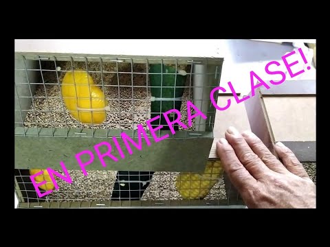 Mrw envio a a domicilio