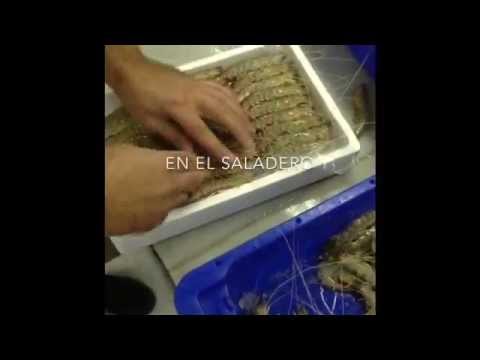 Marisco a a domicilio opiniones