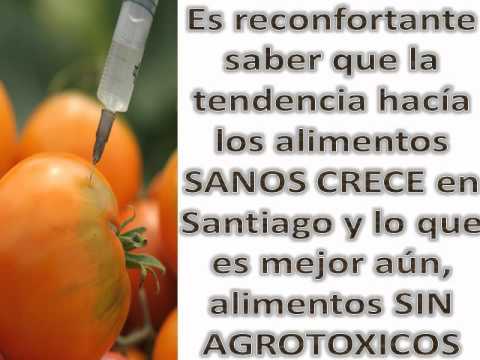 Dieta a a domicilio santiago