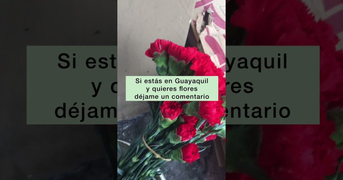 Flores a a domicilio caracas venezuela