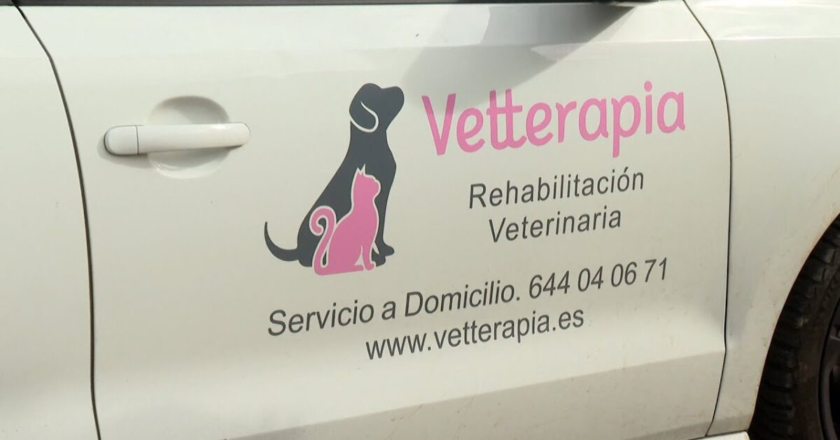 Fisioterapia veterinaria a a domicilio